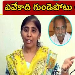 cm chandrababu