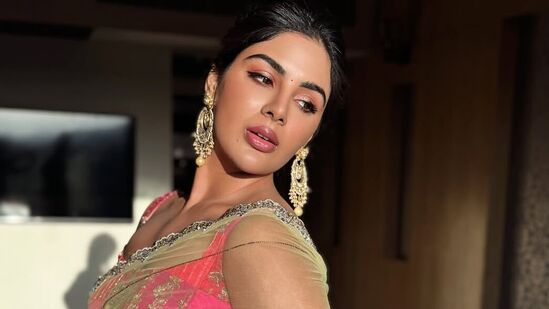 అఖండ 2తో పాటు తెలుగులో శ‌ర్వానంద్ నారి నారి న‌డుమ మురారి, నిఖిల్ స్వ‌యంభూతో పాటు బెల్లంకొండ శ్రీనివాస్ హీరోగా న‌టిస్తోన్న మూవీలో సంయుక్త మీన‌న్ క‌థానాయిక‌గా క‌నిపించ‌బోతున్న‌ది.&nbsp;