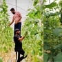 తమ వ్యవసాయ క్షేత్రంలో ఆయుష్, రిషభ్ తమ వ్యవసాయ క్షేత్రంలో ఆయుష్, రిషభ్