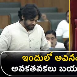 deputy cm pawan kalyan