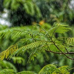<p>&nbsp;మార్చి 24వ తేదీ వరకు వర్ష సూచన ఉండటంతో రైతులు అప్రమత్తంగా ఉండాలని అధికారులు సూచిస్తున్నారు. పంట నష్టం రాకుండా ముందస్తు జాగ్రత్తలు తీసుకోవాలని సూచిస్తున్నారు.<br>&nbsp;</p>