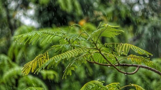 &nbsp;మార్చి 24వ తేదీ వరకు వర్ష సూచన ఉండటంతో రైతులు అప్రమత్తంగా ఉండాలని అధికారులు సూచిస్తున్నారు. పంట నష్టం రాకుండా ముందస్తు జాగ్రత్తలు తీసుకోవాలని సూచిస్తున్నారు.&nbsp;