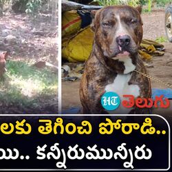 karnataka video goes viral