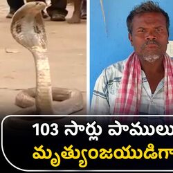 chittor district 