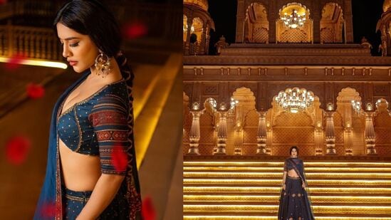 Nabha Natesh Hot Photos: తన డ్రెస్ కు తగినట్లే ఓ రిచ్ ప్యాలెస్ లో ఆమె ఈ ఫొటో షూట్ చేసింది.