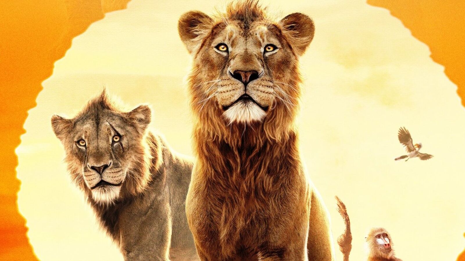 Mufasa The Lion King OTT Streaming: నేడే ఓటీటీలోకి బ్లాక్‍బస్టర్ ముఫాసా: తెలుగులోనూ.. స్ట్రీమింగ్‍ మొదలయ్యే టైమ్ ఇదే..