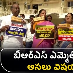 brs mlcs protest