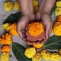 <p>బ్రహ్మదేవుడు ఈ రోజునే సృష్టిని ప్రారంభించాడని పురాణాలు చెబుతున్నాయి. శ్రీ మహావిష్ణువు మత్స్యావతారమెత్తి సోమకుడి బారి నుండి వేదాలను రక్షించి బ్రహ్మదేవునికిచ్చిన రోజు కూడా ఇదే. ఉగాది రోజున కొత్త పనులు ప్రారంభిస్తే మంచి జరుగుతుందని ప్రజలు నమ్ముతారు.</p>