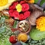 షడ్రుచులతో కూడిన ఉగాది పచ్చడి షడ్రుచులతో కూడిన ఉగాది పచ్చడి