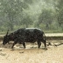 మోటివేషనల్ స్టోరీ