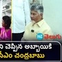 cm chandrababu
