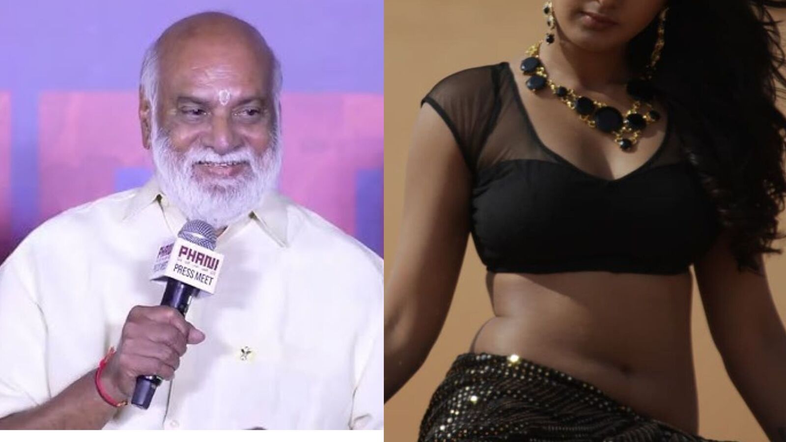 Raghavendra Rao: ఆ హీరోయిన్ అంటే అల్లు అర్జున్ మూవీలో ఎమ్మెల్యే గుర్తొస్తుంది.. డైరెక్టర్ రాఘవేంద్రరావు కామెంట్స్