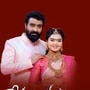 ఐదు తెలుగు సీరియల్స్‌కు శుభం కార్డు.. అన్నీ ఈ నెలలోనే.. అందులో 1550 ఎపిసోడ్ల సీరియల్ కూడా..
