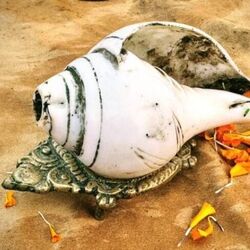 <p>హిందూమతంలో శంఖాన్ని ఎంతో పవిత్రమైనదిగా భావిస్తారు. ఇంట్లో శంఖాన్ని ఉంచి పూజించడం వల్ల శుభ ఫలితాలు కలుగుతాయని నమ్ముతారు. వాస్తు శాస్త్రంలో శంఖం ధ్వనిని కూడా ఆధ్మాత్మికంగా భావిస్తారు. ఇంటిలోని పూజామందిరంలో శంఖం ఉంచడం వల్ల జీవితంలో సానుకూల శక్తి వస్తుందని విశ్వసిస్తారు. ఇంట్లో శంఖం ఉంచడం వల్ల ఇంకేం ప్రయోజనాలు కలుగుతాయో తెలుసుకుందాం రండి.</p>