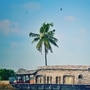 kerala_tour_package_ kerala_tour_package_