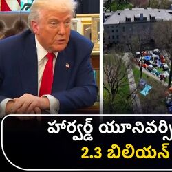 us president donald trump