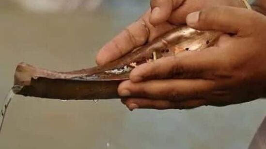 పితృ దోషం తొలగిపోవడానికి ఈ పనులు చేయండి: అమావాస్య రోజున ఉదయం సూర్యోదయానికి ముందు గంగాజలం కలిపిన నీటిలో లేదా పవిత్ర నది, చెరువు లేదా ఇంట్లో స్నానం చేయండి. నువ్వులు, నీరు ఉపయోగించి పూర్వీకుల పేరిట తర్పణం చేయండి. పిండ దానం చేసి ఆవులకు, బ్రాహ్మణులకు, పేదలకు అన్నం పెట్టండి. ఫలితంగా పితృ దోషం తొలగిపోయి పితృదేవతల అనుగ్రహం లభిస్తుంది.