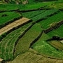 ooty_tour_package