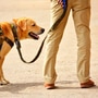 తిరుపతిలో పోలీసుల తనిఖీలు