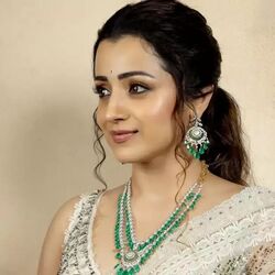 <p>త్రిషకు చెన్నైలో రూ. 10కోట్లు విలువ చేసే నివాసం ఉంది. అంతేకాదు, హైదరాబాద్​లో రూ. 6కోట్లు విలువ చేసే ఇల్లు ఉంది.</p>