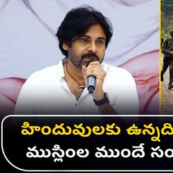 ap deputy cm pawan kalyan