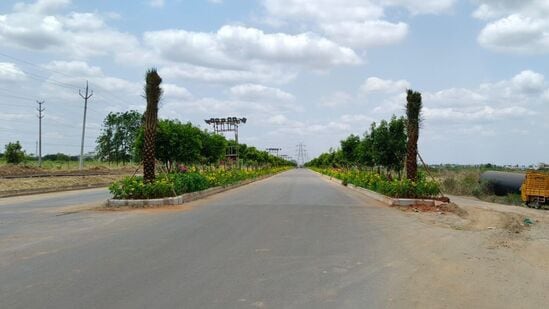 ఇప్పటికే N9 రోడ్డు ప్రవేశద్వారాన్ని ఖర్జూర మొక్కలతో అందంగా తీర్చిదిద్దారు. వాటి మధ్యస్థానంలో గడిచౌడి పసుపు పూల మొక్కలను నాటారు. 