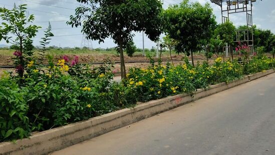 సభా వేదిక పాయింట్ వద్ద N9 రోడ్డును పచ్చిక బౌగెన్‌విల్లే, ప్లుమేరియా పుష్పించే మొక్కలతో అందంగా తీర్చిదిద్దారు.