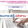 తెలంగాణ పదో తరగతి 2025 ఫలితాలు