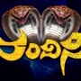 నందిని సీరియ‌ల్ 
