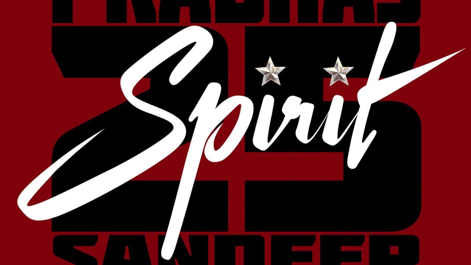 మరోసారి క్రేజీ పెయిర్.. జతకట్టనున్న ప్రభాస్-అనుష్క.. సందీప్ వంగా ప్లాన్ మామూలుగా లేదుగాా!