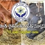 పాడి రైతులకు ఏపీ ప్రభుత్వం గుడ్ న్యూస్, సగం ధరకే పశువుల దాణా- పంపిణీ ఎక్కడంటే?