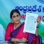 కూటమి ప్రభుత్వంలో రైతుల పరిస్థితి దారుణం, ఏ పంటకు మద్దతు ధర లేదు - వైఎస్ షర్మిల  