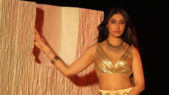 దిల్ రాజు నిర్మిస్తోన్న ఆకాశం దాటి వ‌స్తావా మూవీతో ధ‌న‌శ్రీ వ‌ర్మ టాలీవుడ్‌లోకి ఎంట్రీ ఇస్తోన్న‌ట్లు ప్ర‌చారం జ‌రుగుతోంది. 