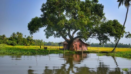 IRCTC టూరిజం. 'KERALA HILLS & WATERS ' పేరుతో ఈ ప్యాకేజీ ఆపరేట్ చేస్తోంది. IRCTC టూరిజం వెబ్ సైట్ లోకి వెళ్లి ప్యాకేజీని బుకింగ్ చేసుకోవాల్సి ఉంటుంది. హైదరాబాద్ నుంచి ట్రైన్ లో వెళ్లాల్సి ఉంటుంది. ప్రతి మంగళవారం తేదీల్లో ఈ ప్యాకేజీని ఆపరేట్ చేస్తారు. ఈ తేదీ మిస్ అయితే మరో తేదీలో ప్లాన్ చేసుకోవచ్చు.