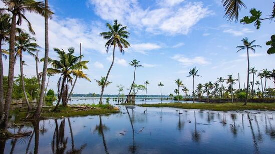 ఈ ప్యాకేజీ పూర్తి వివరాల కోసం https://www.irctctourism.com/  వెబ్ సైట్ ను చూడొచ్చు ఇందులోకి వెళ్లి ప్యాకేజీని బుకింగ్ చేసుకోవచ్చు.  