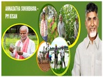 అన్నదాత సుఖీభవ పథకంపై మరో అప్డేట్, ఖాతాల్లో డబ్బులు పడాలంటే ఇలా చేయండి