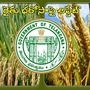 రైతులకు తెలంగాణ సర్కార్ గుడ్ న్యూస్, ఈ నెలాఖరులోగా ఖాతాల్లో డబ్బులు