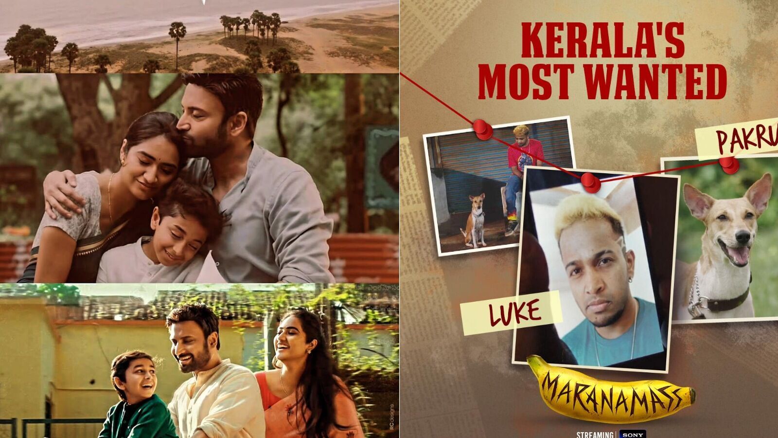 ఓటీటీలో ఈ వీకెండ్ ఐదు భాషలకు చెందిన ఈ టాప్ 5 సినిమాలను కచ్చితంగా చూడండి.. తెలుగులో ఈ మూవీ మిస్ కావద్దు