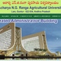 న్జీ రంగా విశ్వవిద్యాలయం