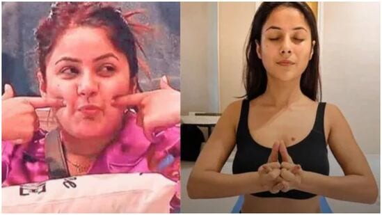 మరికొన్ని సమయాల్లో అల్పాహారాన్నే తీసుకునేదట షెహనాజ్ గిల్. అందులో నెయ్యితో వేయించిన గుప్పెడు కాల్చిన మఖానా ఉంటుంది. మఖానాలో ప్రోటీన్, ఫైబర్, యాంటీ ఆక్సిడెంట్స్ పుష్కలంగా ఉంటాయి. ఇది గుండెను ఆరోగ్యంగా ఉంచుతుంది, జీర్ణక్రియను పెంచుతుంది, బరువు తగ్గడానికి సహాయపడుతుంది.