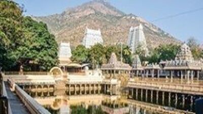 <p>బ్రేక్ ఫాస్ట్ తర్వాత... అరుణాచలం బయల్దేరుతారు. హోటల్ కి చెకిన్ అవుతారు. అరుణాచలేశ్వరుడిని దర్శించుకుంటారు. రాత్రికి తిరువన్నమలైలోనే బస చేస్తారు. మరునాడు బ్రేక్ ఫాస్ట్ తర్వాత... కాచిపురం బయల్దేరుతారు. కామాక్షి ఆలయం, ఏకాంబేశ్వర టెంపుల్ ను దర్శించుకుంటారు. అక్కడ్నుంచి చెంగల్ పట్టు రైల్వే స్టేష్ కు చేరుకుంటారు. మధ్యాహ్నం 03.35 గంటలకు బయల్దేరుతారు. రాత్రంతా జర్నీ ఉంటుంది. ఉదయం 7.50 గంటలకు కాచిగూడకు చేరుకోవటంతో టూర్ ప్యాకేజీ ముగుస్తుంది.<br> </p> <p>బ్రేక్ ఫాస్ట్ తర్వాత... అరుణాచలం బయల్దేరుతారు. హోటల్ కి చెకిన్ అవుతారు. అరుణాచలేశ్వరుడిని దర్శించుకుంటారు. రాత్రికి తిరువన్నమలైలోనే బస చేస్తారు. మరునాడు బ్రేక్ ఫాస్ట్ తర్వాత... కాచిపురం బయల్దేరుతారు. కామాక్షి ఆలయం, ఏకాంబేశ్వర టెంపుల్ ను దర్శించుకుంటారు. అక్కడ్నుంచి చెంగల్ పట్టు రైల్వే స్టేష్ కు చేరుకుంటారు. మధ్యాహ్నం 03.35 గంటలకు బయల్దేరుతారు. రాత్రంతా జర్నీ ఉంటుంది. ఉదయం 7.50 గంటలకు కాచిగూడకు చేరుకోవటంతో టూర్ ప్యాకేజీ ముగుస్తుంది.<br> </p>