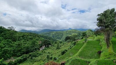 <div><div><a href="https://www.irctctourism.com/" target="_blank">https://www.irctctourism.com/</a> వెబ్ సైట్ లోకి వెళ్లి ప్యాకేజీ పూర్తి వివరాలు తెలుసుకోవటంతో పాటు బుకింగ్ చేసుకోవచ్చు</div></div><section> </section> (Facebook) <div><div><a href="https://www.irctctourism.com/" target="_blank">https://www.irctctourism.com/</a> వెబ్ సైట్ లోకి వెళ్లి ప్యాకేజీ పూర్తి వివరాలు తెలుసుకోవటంతో పాటు బుకింగ్ చేసుకోవచ్చు</div></div><section> </section> (Facebook)
