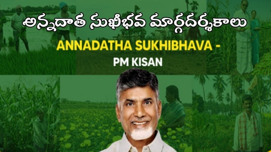 అన్నదాత సుఖీభవ స్కీమ్ ను భర్త, భార్య, పిల్లలతో కుటుంబాన్ని యూనిట్ గా తీసుకుని అమలుచేస్తారు. పిల్లలకు వివాహమైతే వారిని ప్రత్యేక యూనిట్ గా పరిగణించి, పెట్టుబడి సాయం అందిస్తారు. వ్యవసాయ, ఉద్యాన, పట్టుకు సంబంధించిన పంటల సాగుదారులకు ఈ పథకం వర్తిస్తుంది. కేంద్ర, రాష్ట్ర ప్రభుత్వ మంత్రిత్వశాఖలు, కార్యాలయాలు, ఇతర శాఖలు, ప్రభుత్వ రంగ సంస్థలు, స్థానిక సంస్థల్లో శాశ్వత ప్రాతిపదికన పనిచేసే ప్రభుత్వ ఉద్యోగులకు ఈ పథకం వర్తించదు. https://annadathasukhibhava.ap.gov.in/home-tel వెబ్ సైట్ లోకి వెళ్లి లబ్ధిదారుల స్టేటస్ వివరాలను ఆధార్ నెంబర్ ఆధారంగా తెలుసుకోవచ్చు. 