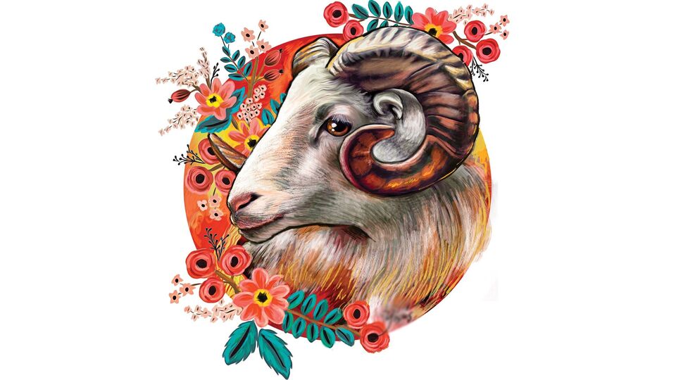 <p>మేష రాశి : ఈ రోజు మీకు మంచి కాలం. కుటుంబ సభ్యులు, స్నేహితులతో కలిసి పార్టీని ప్లాన్ చేసుకోవచ్చు. ప్రేమ జీవితాన్ని గడుపుతున్న వ్యక్తులు తమ భాగస్వామితో రొమాంటిక్ డిన్నర్ ప్లాన్ చేయవచ్చు. మీరు మీ ఆర్థిక పరిస్థితి గురించి ఆందోళన చెందుతారు.</p>