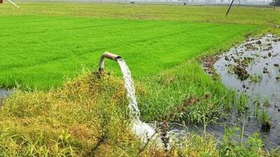 డెల్టాకు నీటి విడుదల