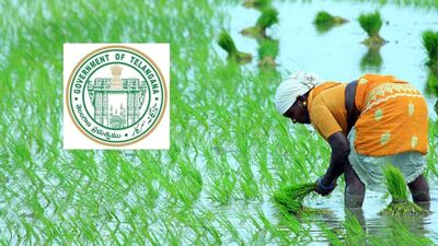 <p>పంట పెట్టుబడి సాయం కోసం తెలంగాణ ప్రభుత్వం రైతు భరోసా స్కీమ్ ను తీసుకువచ్చిన సంగతి తెలిసిందే. గతంలో ఈ స్కీమ్ రైతుబంధుగా ఉండేది. ప్రస్తుతం అర్హులైన అర్హులకు ఎకరానికి రూ. 6 వేలు అందజేయనున్నారు. </p> (image source unsplash) <p>పంట పెట్టుబడి సాయం కోసం తెలంగాణ ప్రభుత్వం రైతు భరోసా స్కీమ్ ను తీసుకువచ్చిన సంగతి తెలిసిందే. గతంలో ఈ స్కీమ్ రైతుబంధుగా ఉండేది. ప్రస్తుతం అర్హులైన అర్హులకు ఎకరానికి రూ. 6 వేలు అందజేయనున్నారు. </p> (image source unsplash)