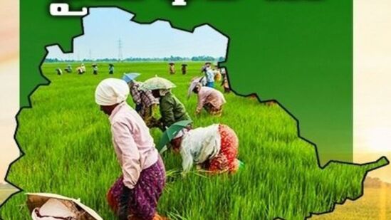 రైతు భరోసా స్కీమ్ ద్వారా అర్హులైన అన్నదాతలకు ఏడాదికి రూ. 12వేల సాయం అందిస్తారు. ఒక విడతలో రూ. 6 వేలు, మరో విడుతలో రూ. 6 వేలు జమ చేస్తారు. ఇప్పటికే క్షేత్రస్థాయి సర్వే చేసిన ప్రభుత్వం… సాగు చేసే, వ్యవసాయ యోగత్య ఉన్న భూములకే రైతు భరోసా అందిస్తుంది. 