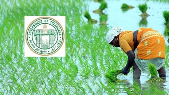 .ఈ స్కీమ్ కు సంబంధించి తెలంగాణ వ్యవసాయశాఖ తాజాగా కీలక అప్డేట్ ఇచ్చింది. కొత్త దరఖాస్తులపై ప్రకటన చేసింది. 05-06-2025 లోపు భూ భారతి పోర్టల్ లో కొత్తగా నమోదైన రైతులు రైతు భరోసాకి దరఖాస్తు చేసుకోవచ్చని తెలిపింది.