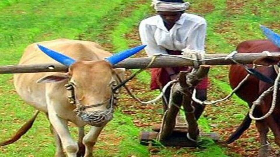 <p>గతంలో రైతు భరోసా పొంది బ్యాంక్ ఖాతా మార్పిడి చేసుకోవాలనుకునే రైతులకు కూడా వ్యవసాయశాఖ మరో ఆప్షన్ ఇచ్చింది. వ్యవసాయ విస్తరణ అధికారికి బ్యాంకు ఖాతా మార్పిడికి దరఖాస్తు చేసుకోవచ్చని తెలిపింది. ఇందుకు సంబంధించి పత్రాలను ఇస్తే సరిపోతుందని ఓ ప్రకటన ద్వారా వెల్లడించింది. </p>