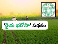 <div><p>వానాకాలం సీజన్ రావటంతో రైతు భరోసా నిధుల విడుదలపై తెలంగాణ ప్రభుత్వం ఫోకస్ పెట్టింది. ఈసారి తొందరగానే విడుదల చేయాలని భావిస్తోంది.వచ్చే వారం నుంచి నిధుల విడుదల చేసేందుకు కసరత్తు చేస్తోంది. </p></div>
